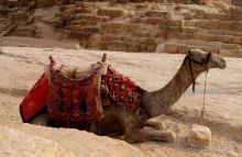 Активный отдых на Красном море