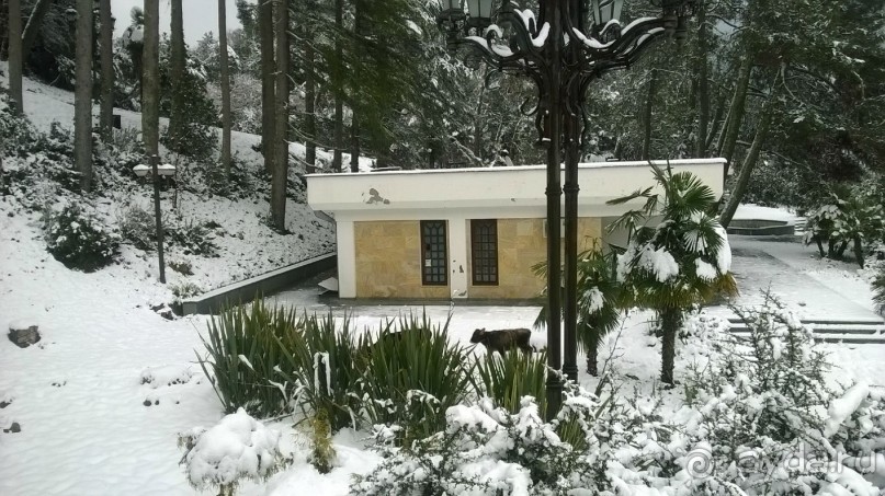 фото Мюссера