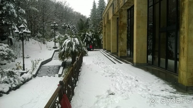 фото Мюссера