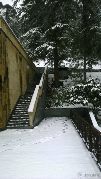 фото Мюссера