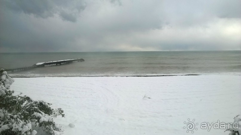 фото Мюссера