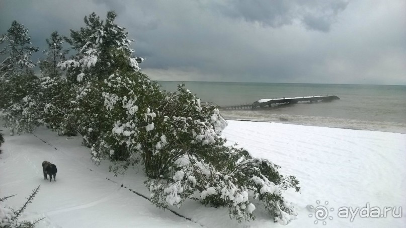 фото Мюссера