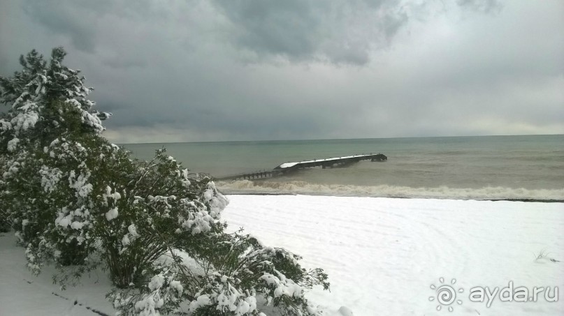 фото Мюссера