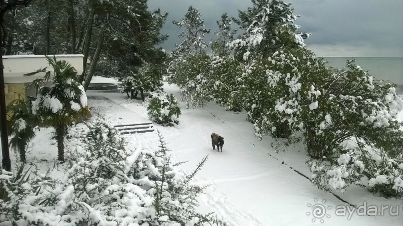 фото Мюссера