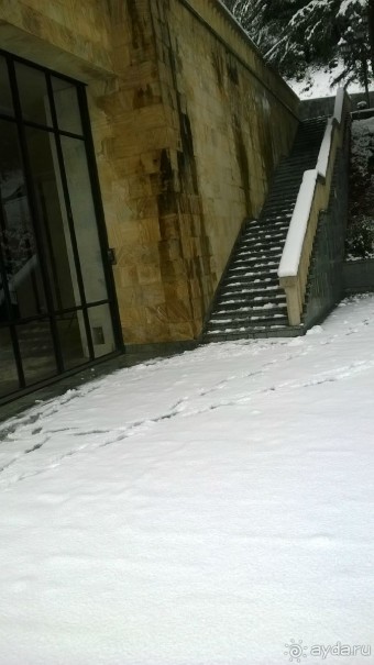 фото Мюссера