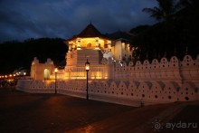 31.12.15 Посещение храма Зуба Будды