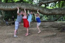 Жди нас, ботанический сад, мы еще не все посмотрели… Мы так любим ботанические сады.