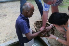 Альбом отзыва "Шри-Ланка!  Еscape в Шри-Ланку неизбежен!"