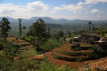 Поездка на поезде из Нувара Элии в Эллу