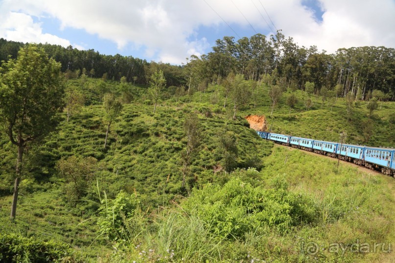 Поездка на поезде была настолько потрясающей, что 3 часа пролетели как один миг.
За окном проносились просто неземные пейзажи, такие разнообразные,  величественные и нереальные, что разум отказывался верить в то, что это происходит на самом деле.
