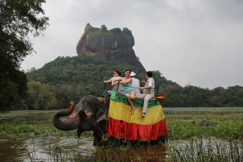 Катание на слонах. Слон!  Обучен всему. Возить туристов, не обращать внимания на их дурацкие идеи, типа «такси на Дубровку не заказывали?» ну и так далее…