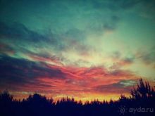 Превосходное место для отдыха всей семьей