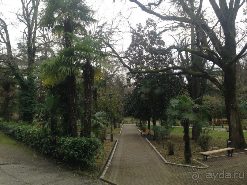 фото Известия