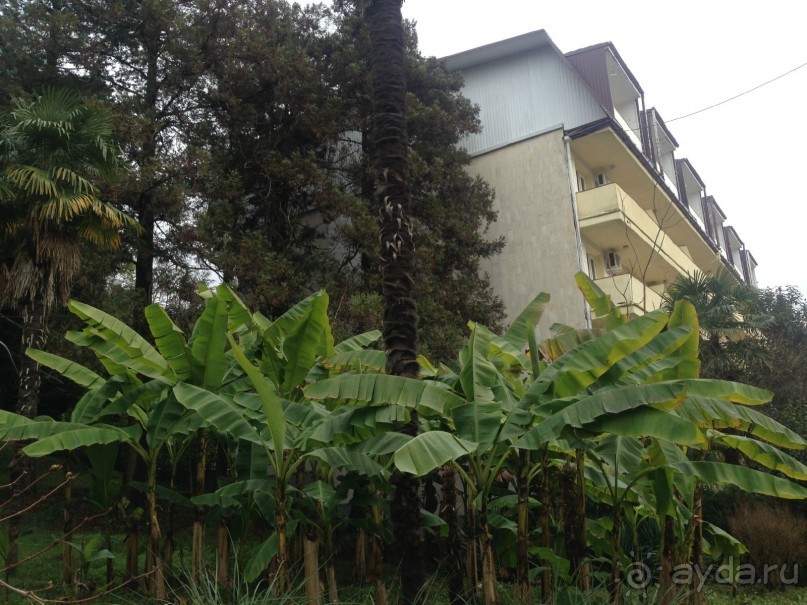 фото Известия