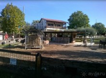 Замечательное место для любителей природы!