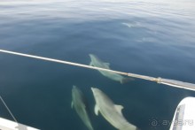 Отдых на катамаране в Севастополе