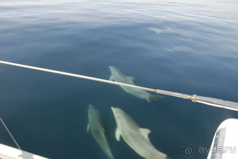 Отдых на катамаране в Севастополе