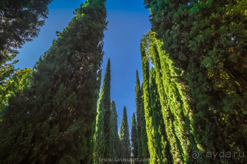 Альгамбра — жемчужина Андалусии