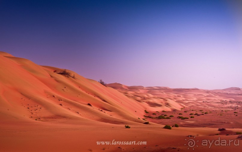 Неизвестные Эмираты: Руб-эль-Хали