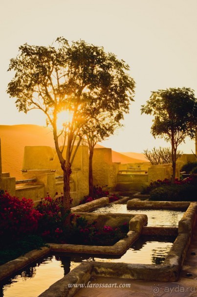 Неизвестные Эмираты: Руб-эль-Хали