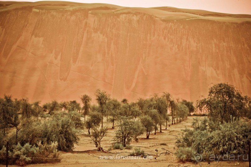 Неизвестные Эмираты: Руб-эль-Хали