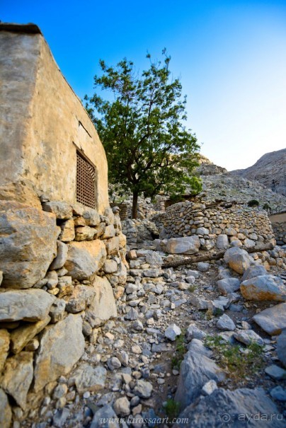  Мусандам — «Аравийская Норвегия»