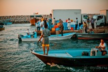  Мусандам — «Аравийская Норвегия»