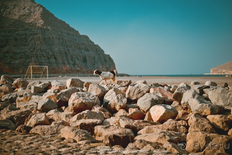 фото Маската