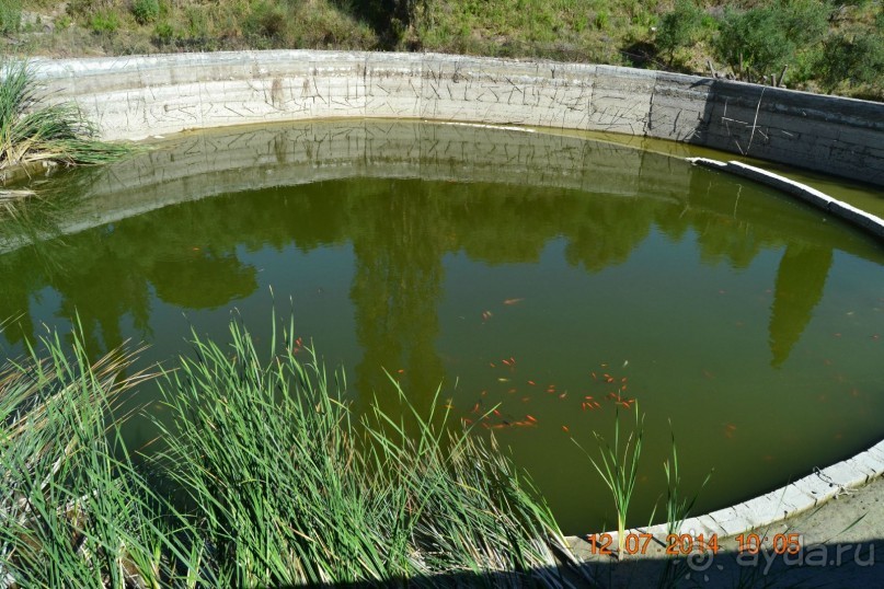 Отличный отдых