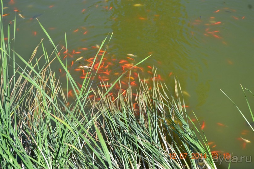 Отличный отдых