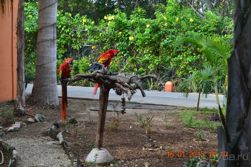 Хочу обратно!!!