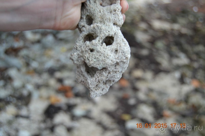 Хочу обратно!!!