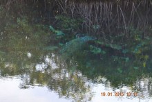 Хочу обратно!!!