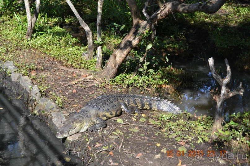 Хочу обратно!!!