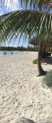 Хочу обратно!!!