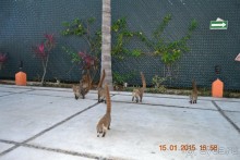 Хочу обратно!!!