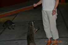 Хочу обратно!!!