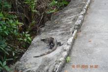 Хочу обратно!!!