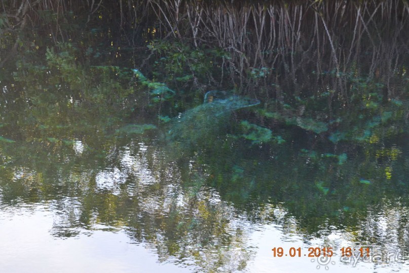 Хочу обратно!!!