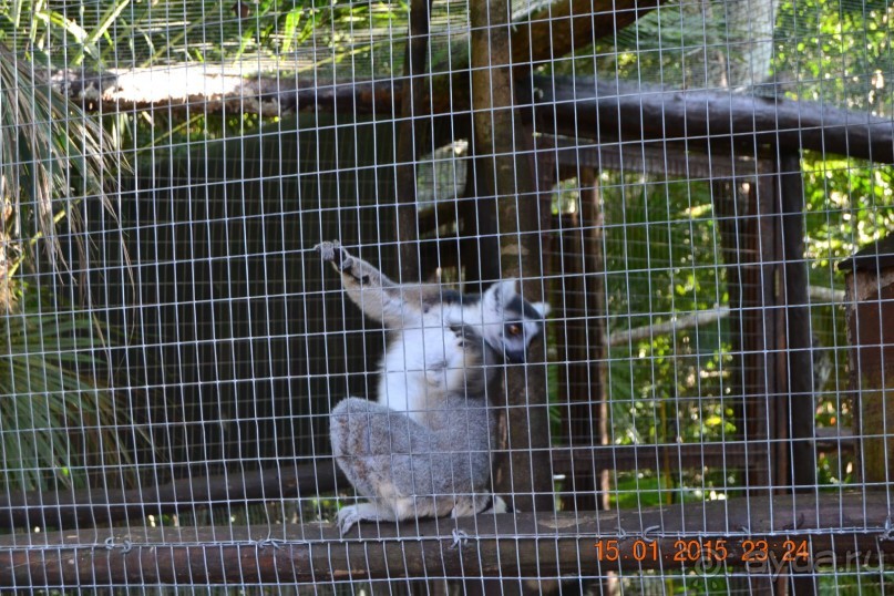 Хочу обратно!!!