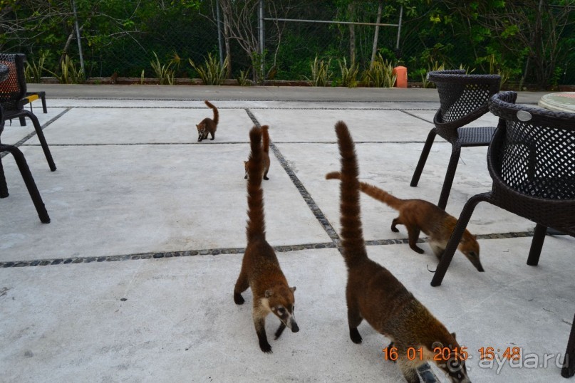 Хочу обратно!!!