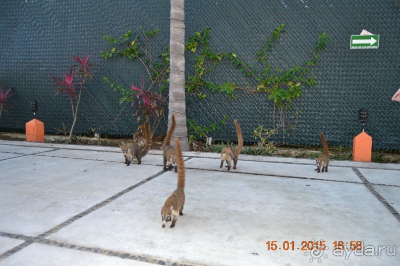 Хочу обратно!!!