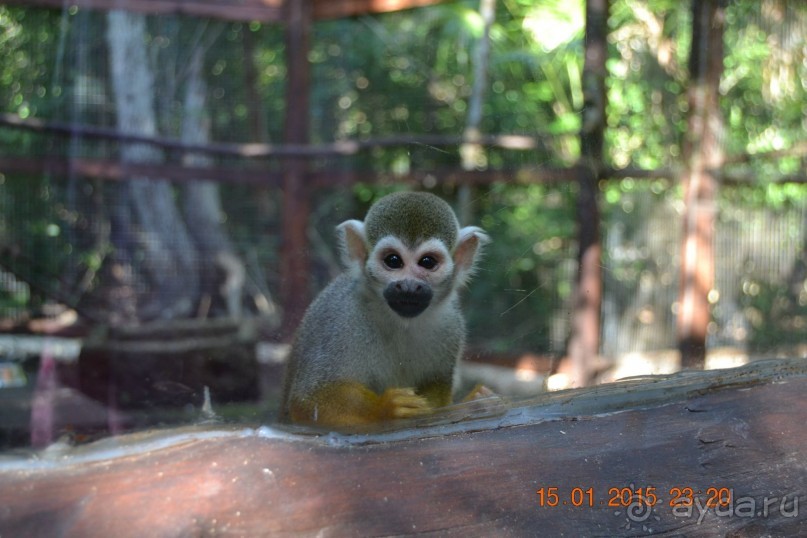 Хочу обратно!!!