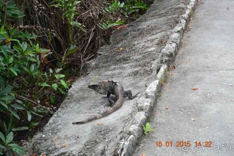 Хочу обратно!!!