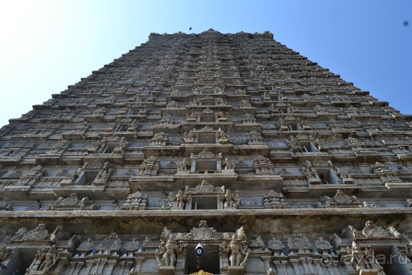 Замечательный зимний отдых в Индии