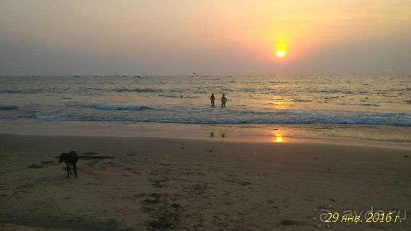 Замечательный зимний отдых в Индии