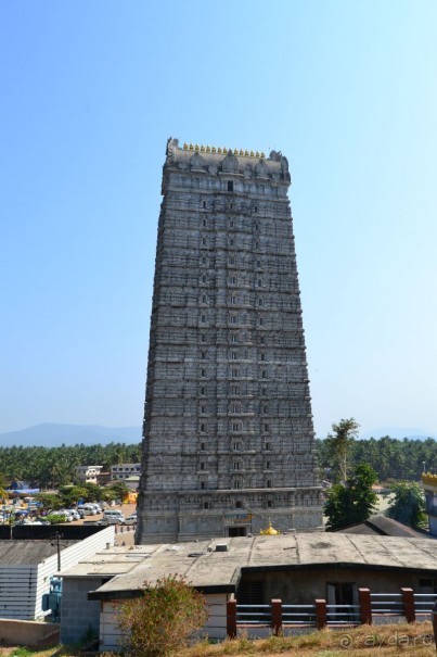 Отличный отдых в экзотической стране!