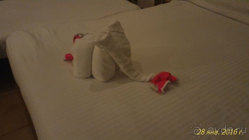 Отличный отдых в экзотической стране!