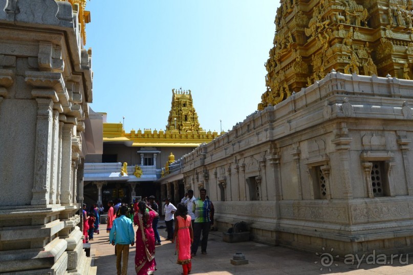 Отличный отдых в экзотической стране!