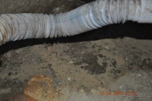 фото Юбилейный